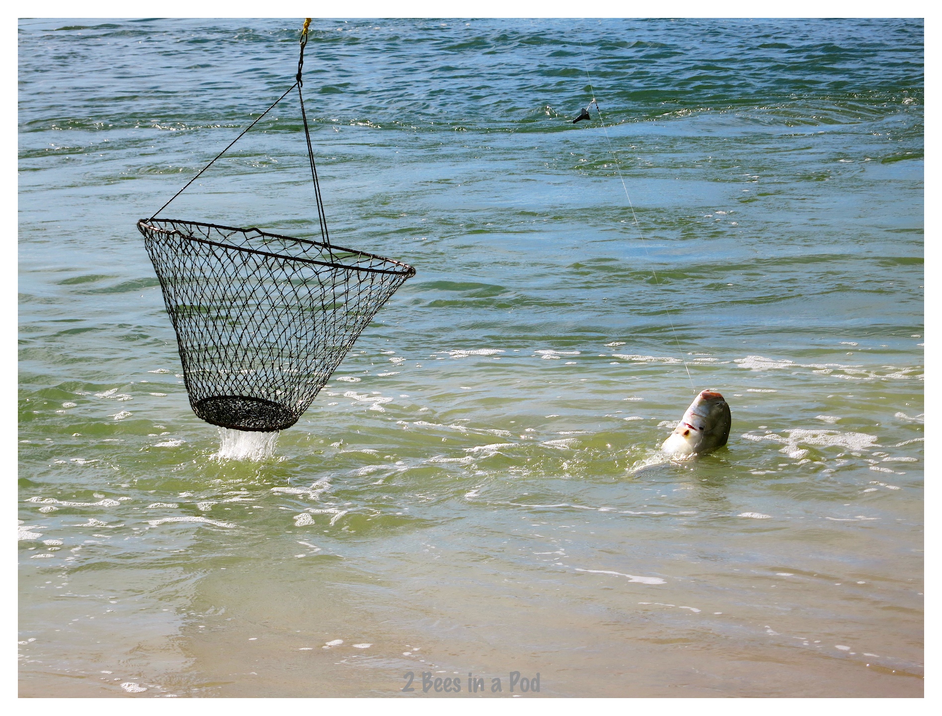 Caught in the act...Fisherman reeling in his catch from the bridge at Crescent Beach, Florida