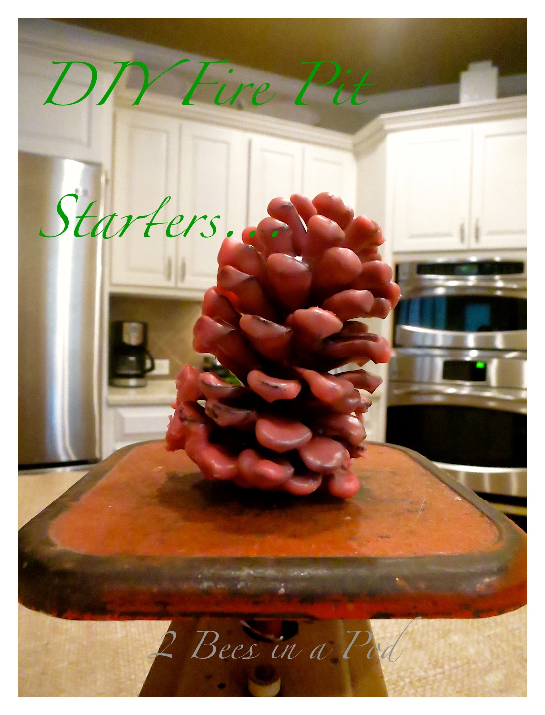 DIY fragrant pine cone fire starters...