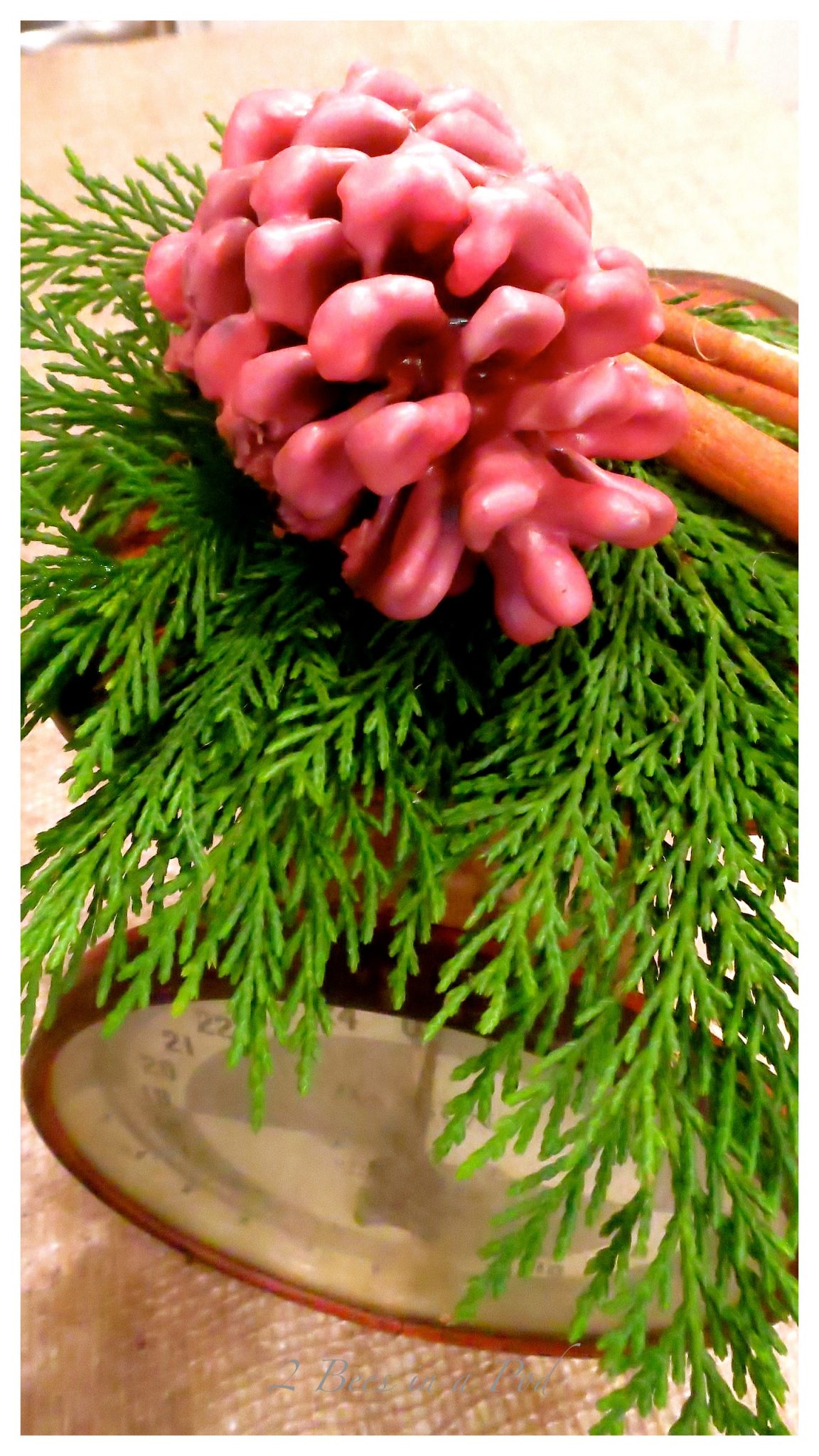 DIY fragrant pine cone fire starters...