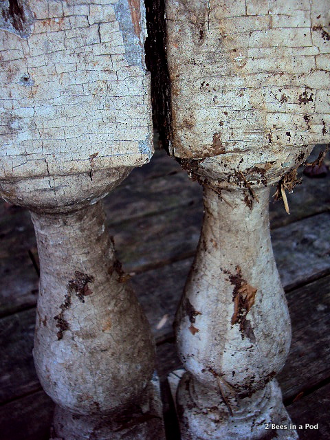 Balusters I found a walk in my neighborhood...in need of some tlc and cleanup