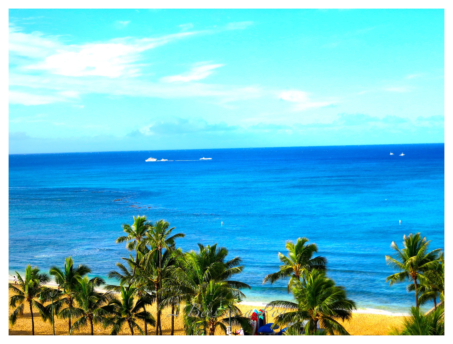 Hawaiian Vacation – Oahu