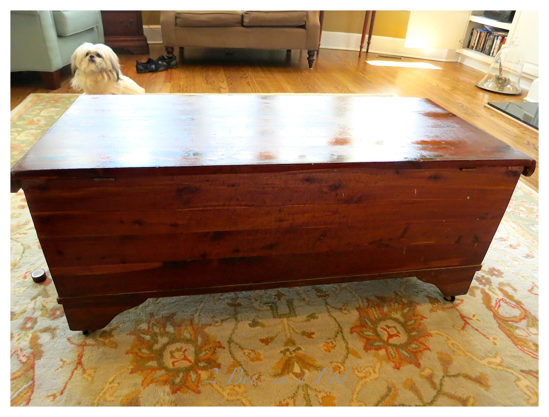 Reviving an antique vintage cedar hope chest using Old English scratch cover. Really nourishes the old wood and brings back the natural luster.