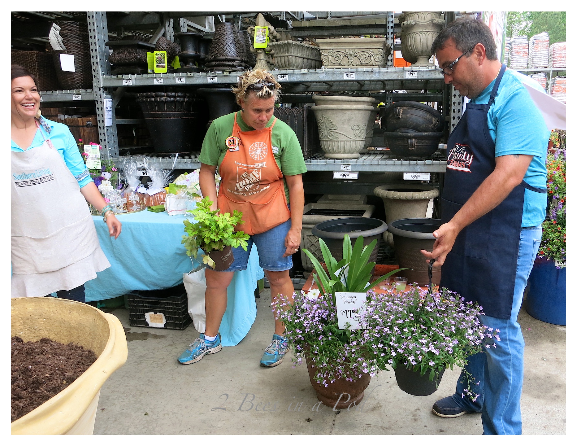 Southern Living Plant Collection and Home Depot