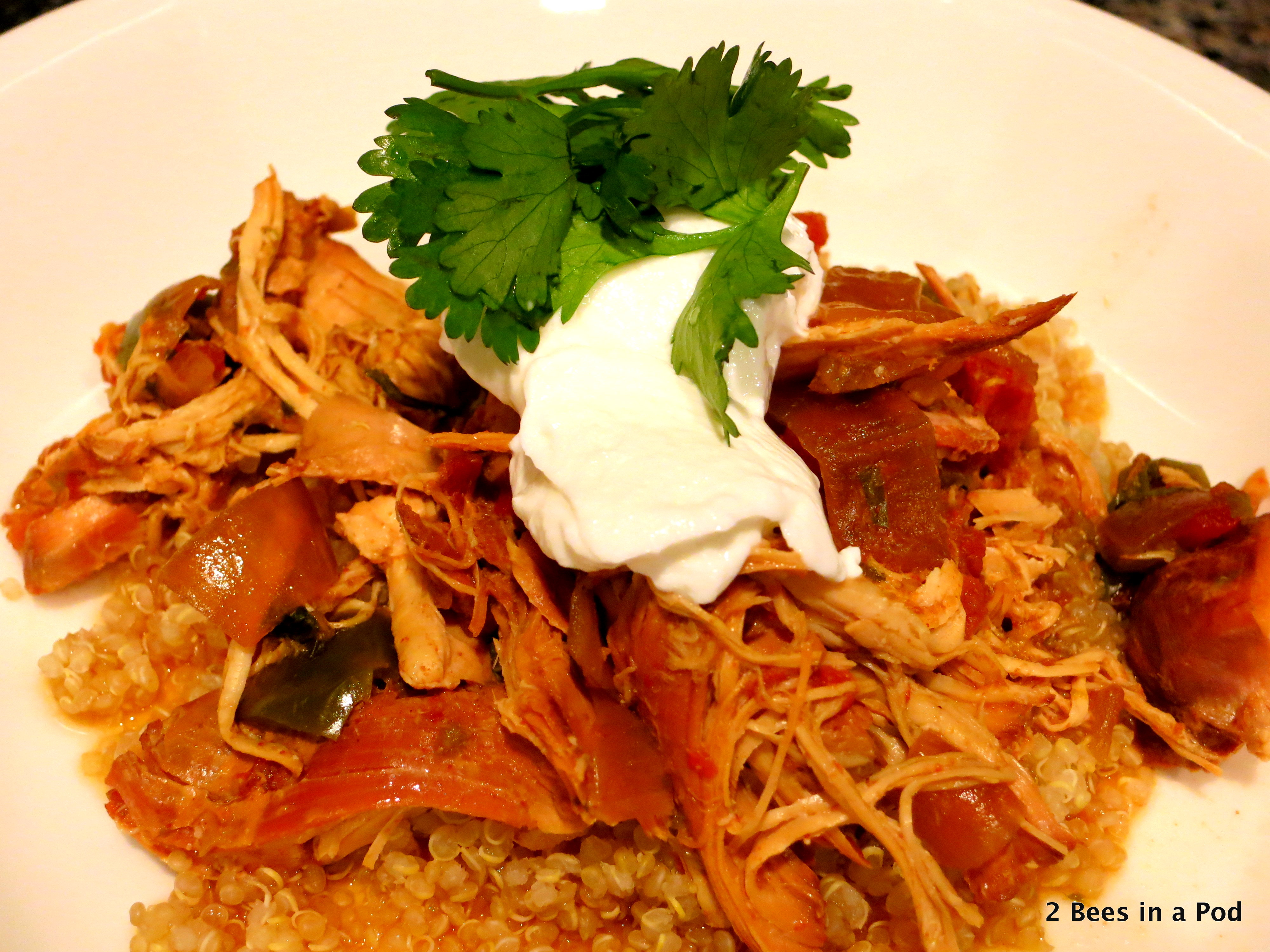 Slower Cooker Chicken Fajitas