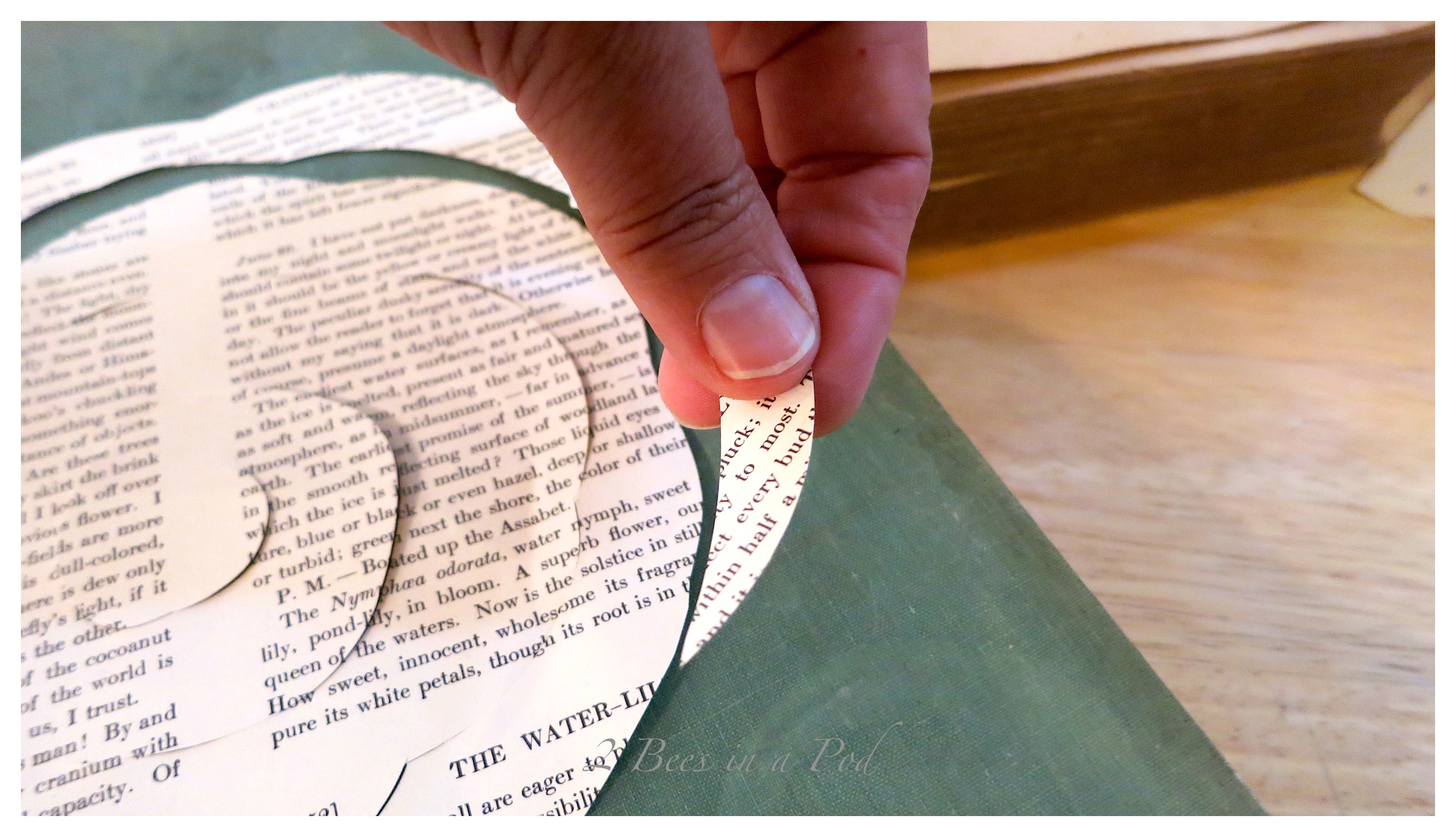 DIY - paper roses made from vintage book page. An easy, simple to follow tutorial.