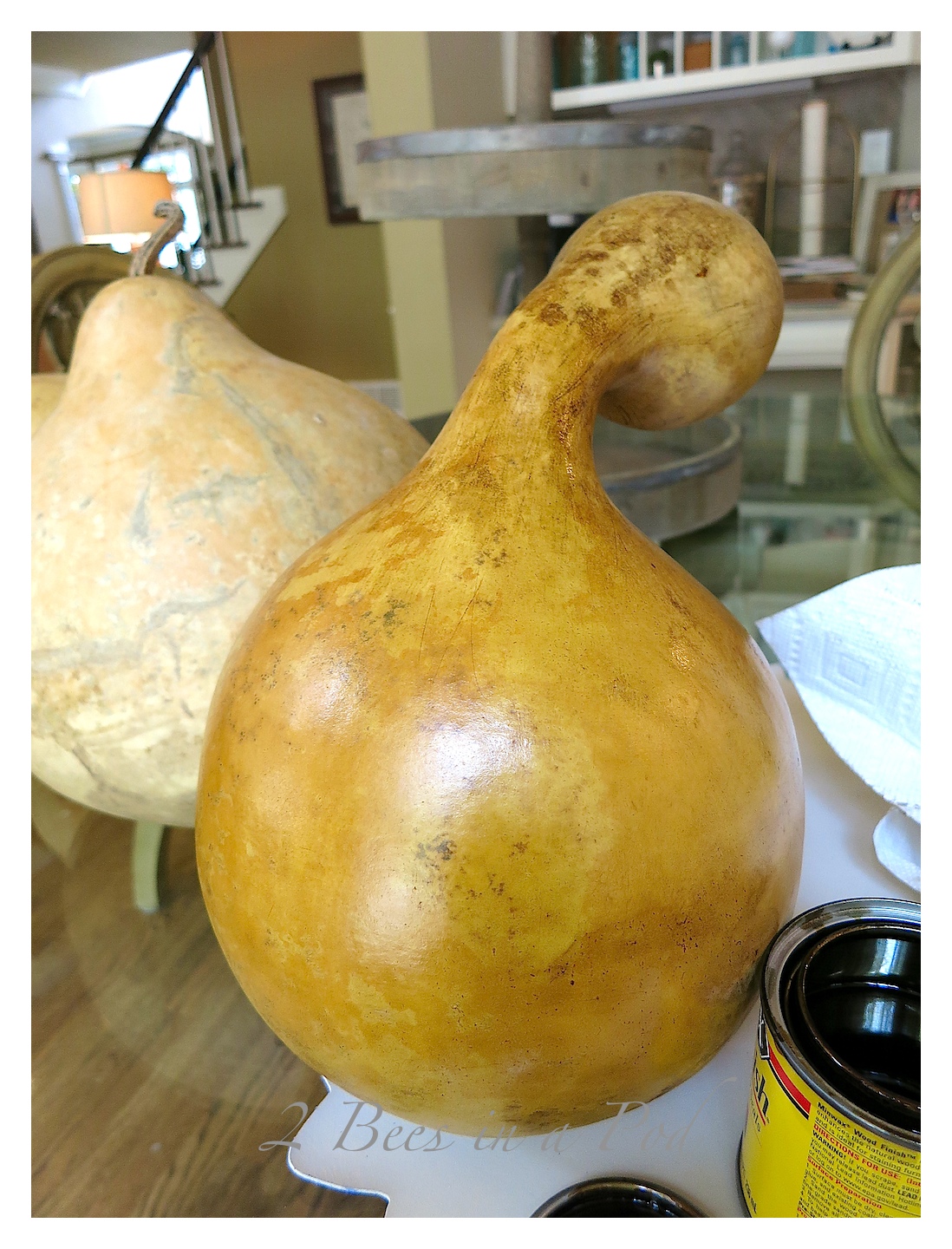 Using the stain gives the natural gourd a great rust color and wonderful sheen. The markings also are much more enhanced.