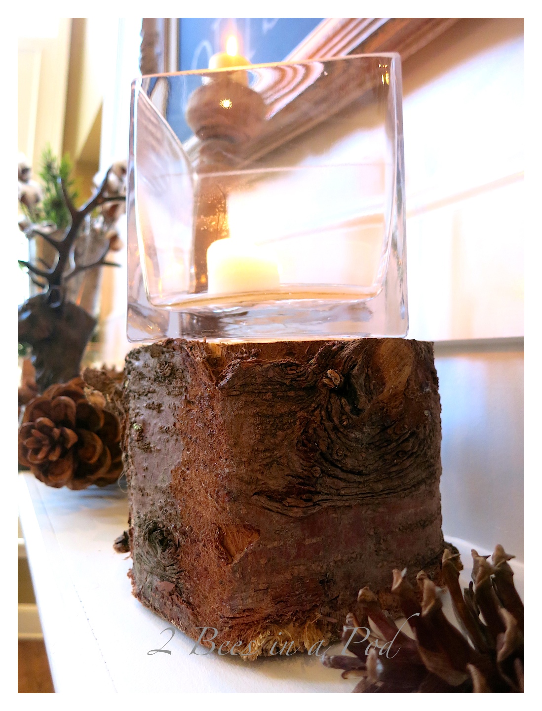 Winter Mantel Decor - natural elements of twigs,wood,  pinecones, cotton and feathers enhanced by candlelight and deer bust