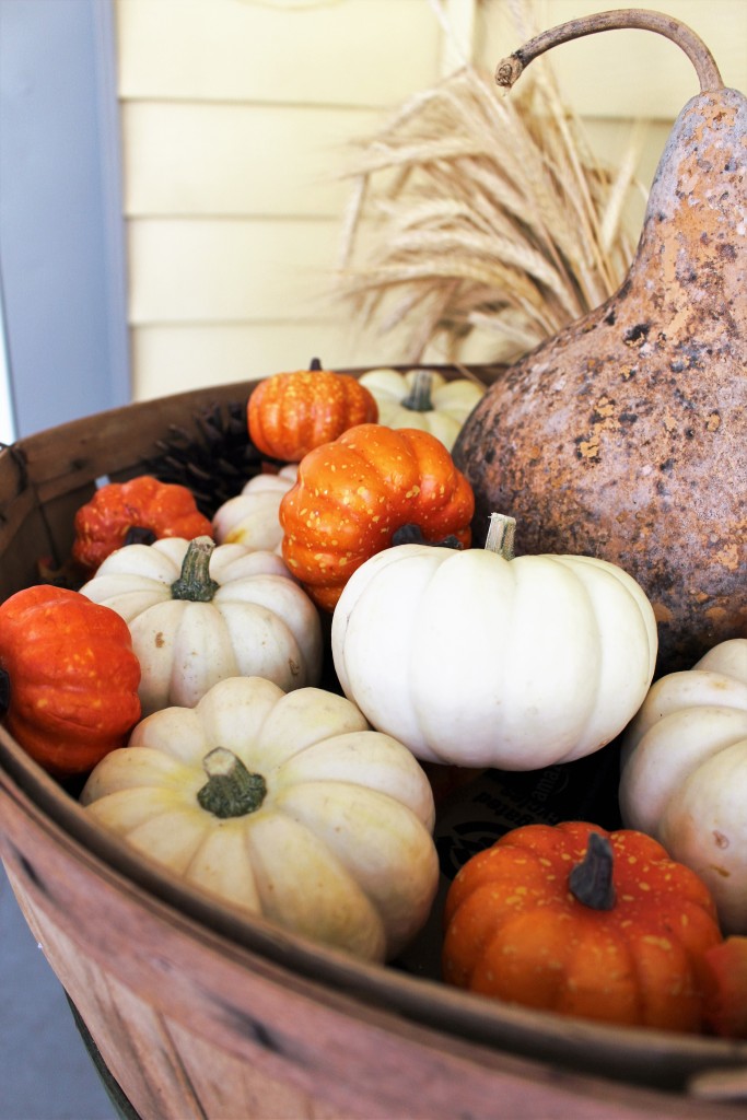 Fall entryway with white pumpkins, wheat, kale, mums, & rustic lantern and apple basket