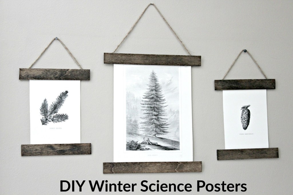 winter-science-posters