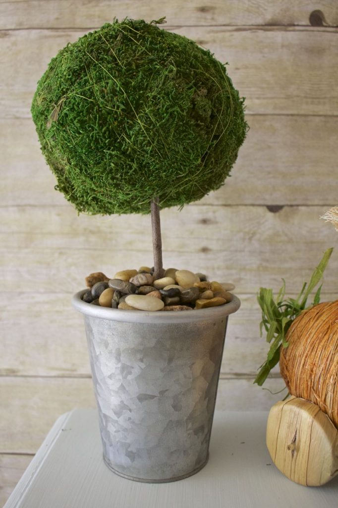 DIY Moss Topiaries in 30 Seconds