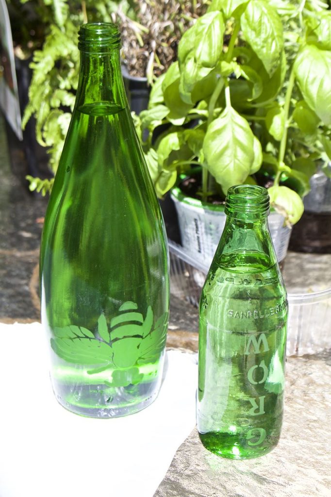 DIY Etched Plant Water Bottle