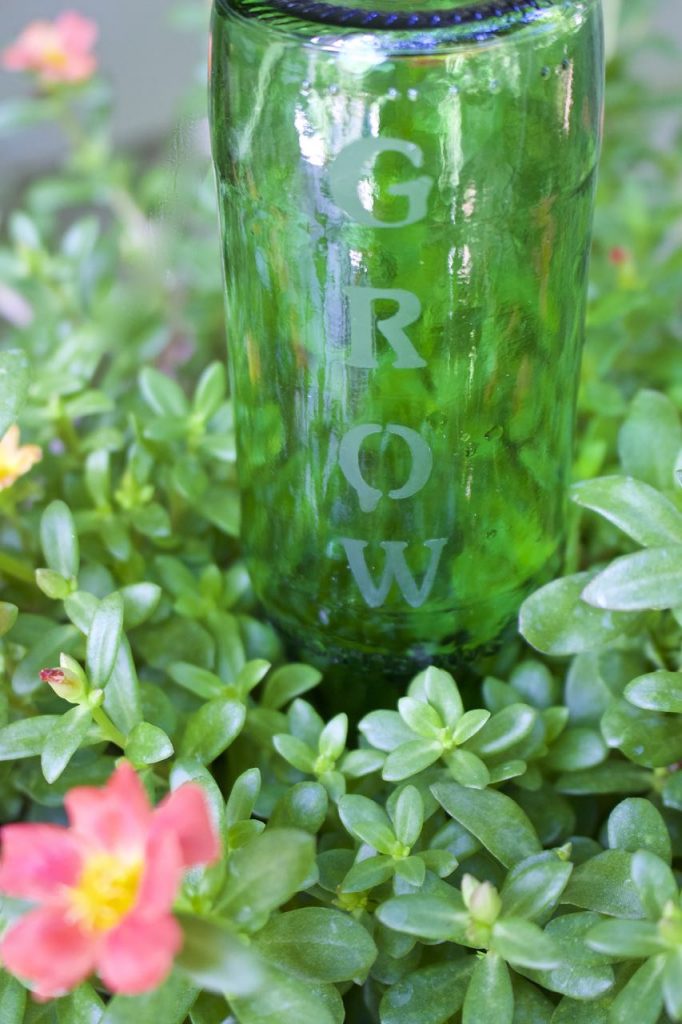 DIY Etched Plant Water Bottle