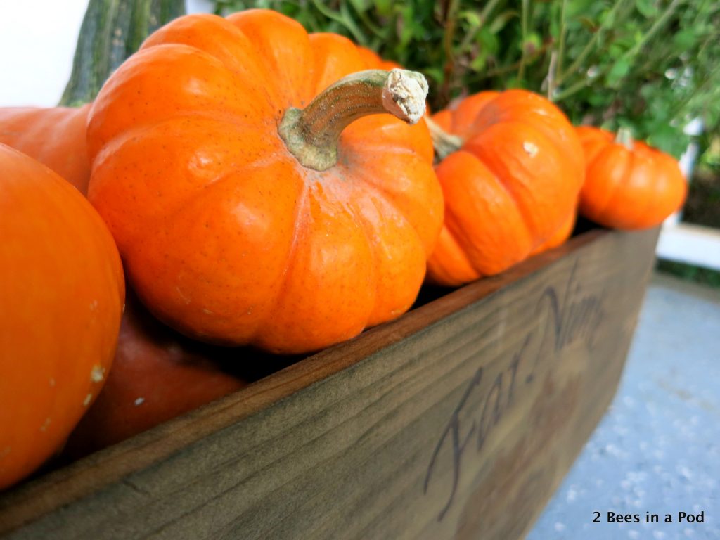 Fall decor with pumpkins. How to decorate for Fall.
