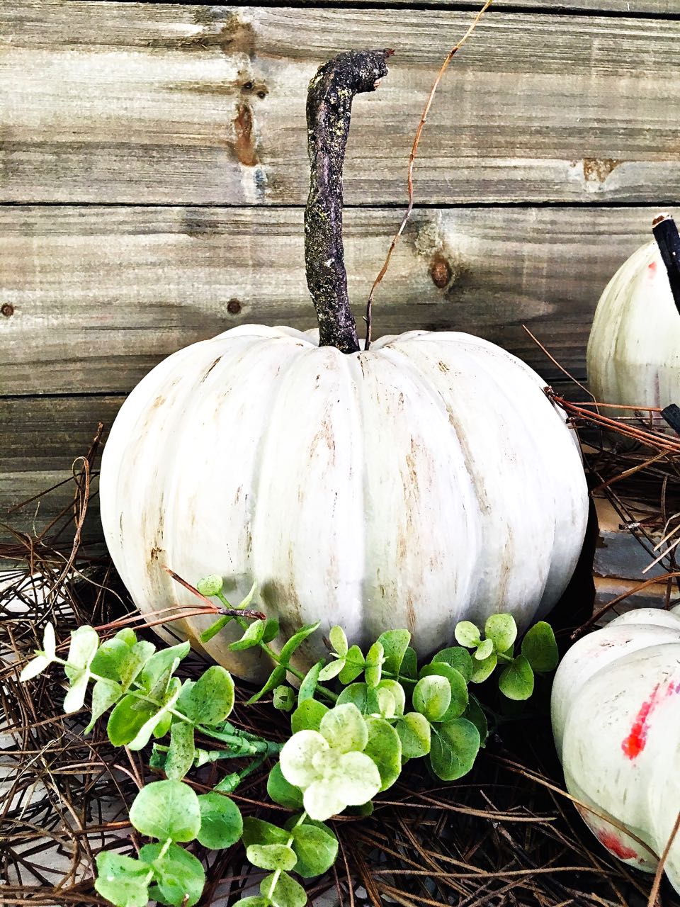 Painted Pumpkins and DIY Stems