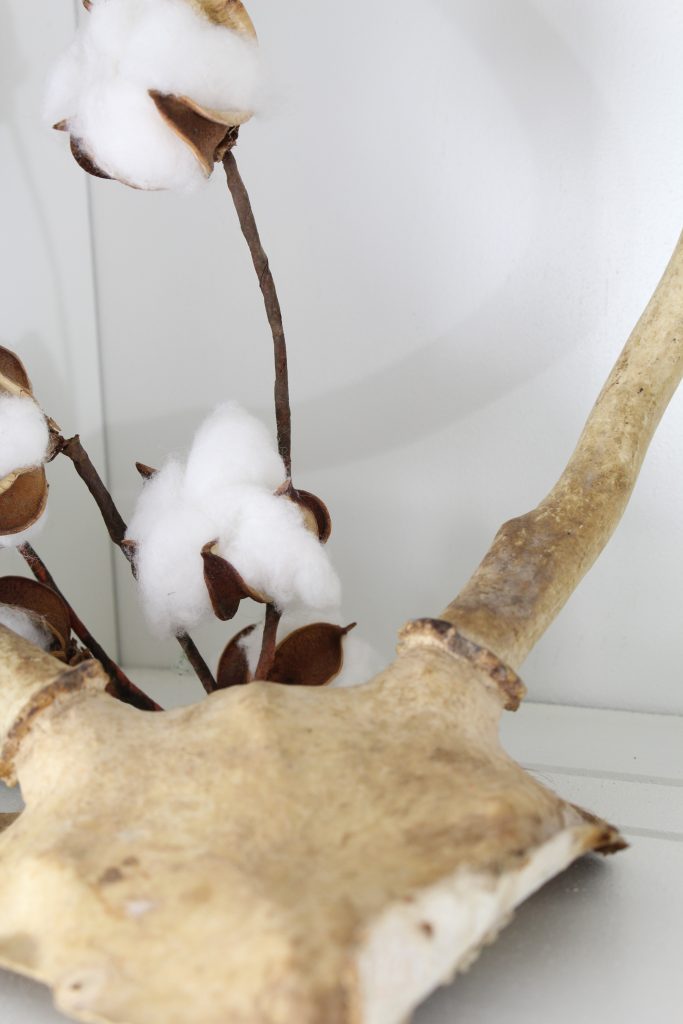 Cotton and antlers for Fall decor. Fall home tour.