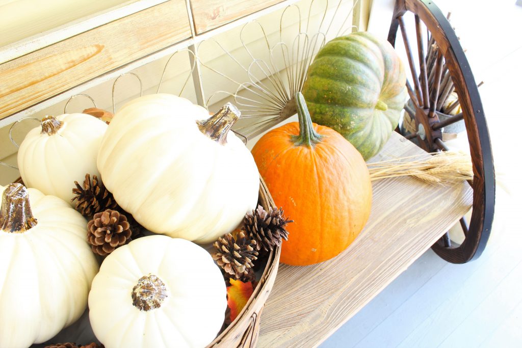 Pumpkins for Fall front porch.