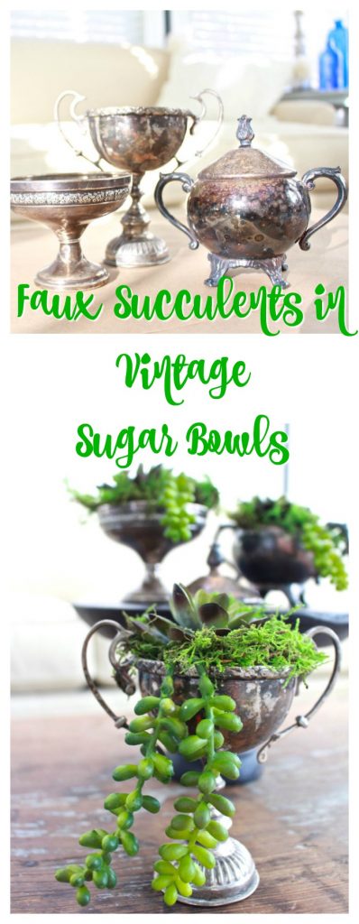 Succulents in Vintage Silver Sugar Bowls