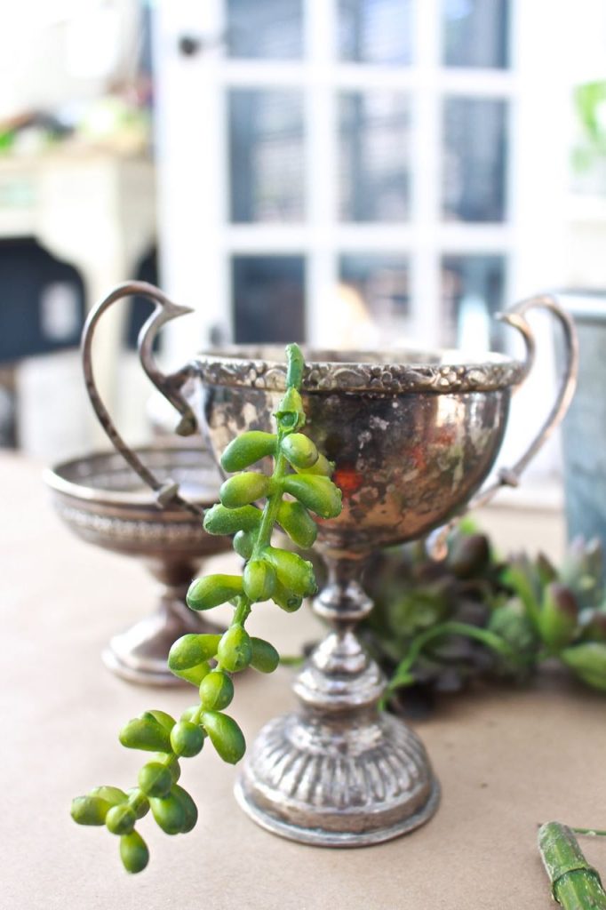 Succulents in Vintage Silver Sugar Bowls