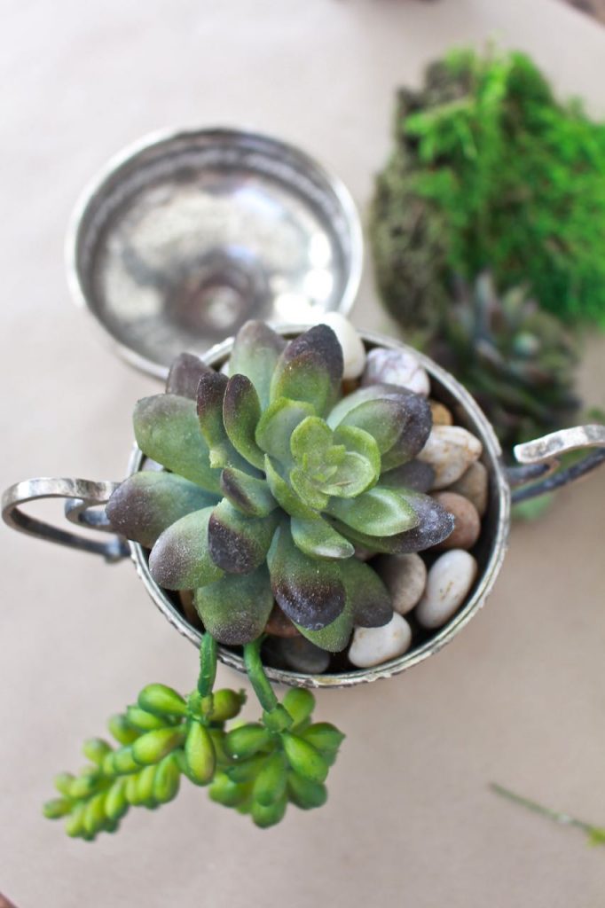 Succulents in Vintage Silver Sugar Bowls