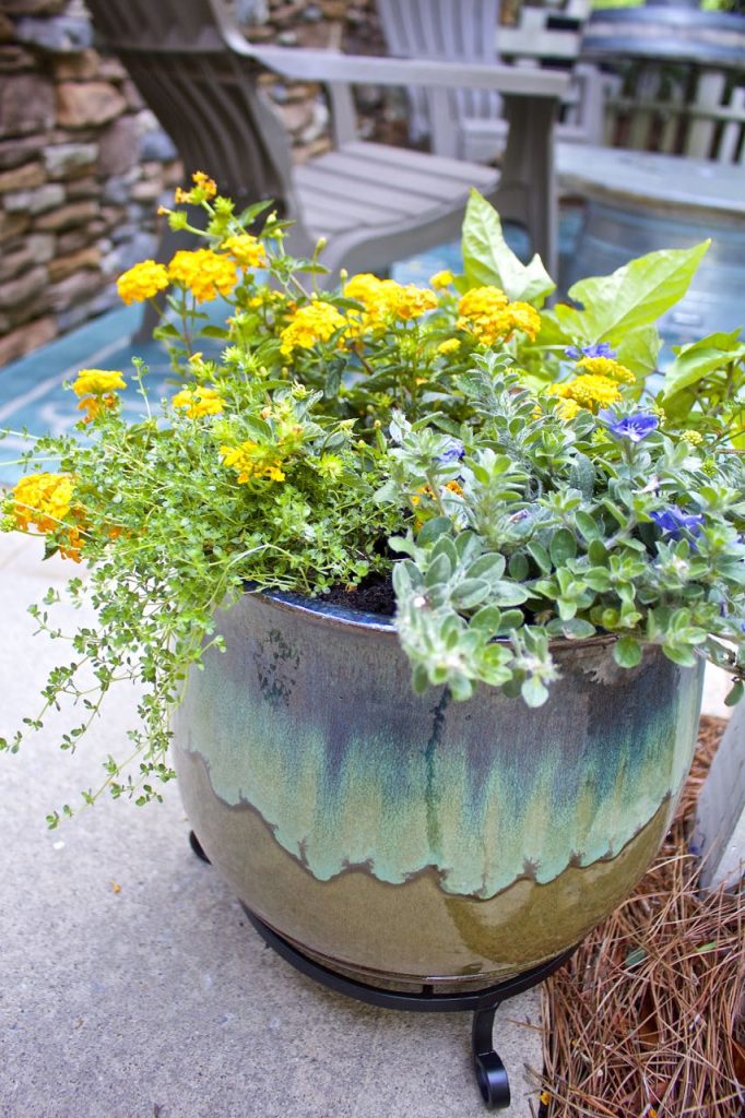 Summer garden and porch tour. Potted plants on the front porch.