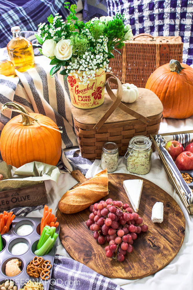 Perfect Fall Picnic Ideas – Back to Basics