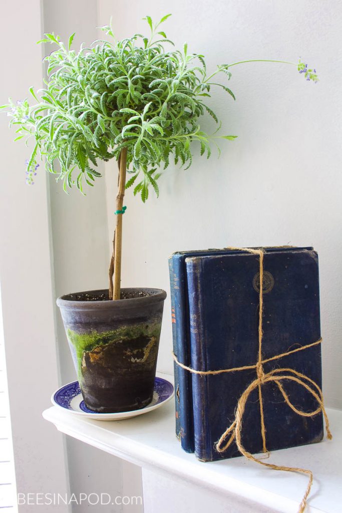 Casual Lake Summer Mantel Decor. Lavender topiary and vintage blue books are perfect for a summer mantel.