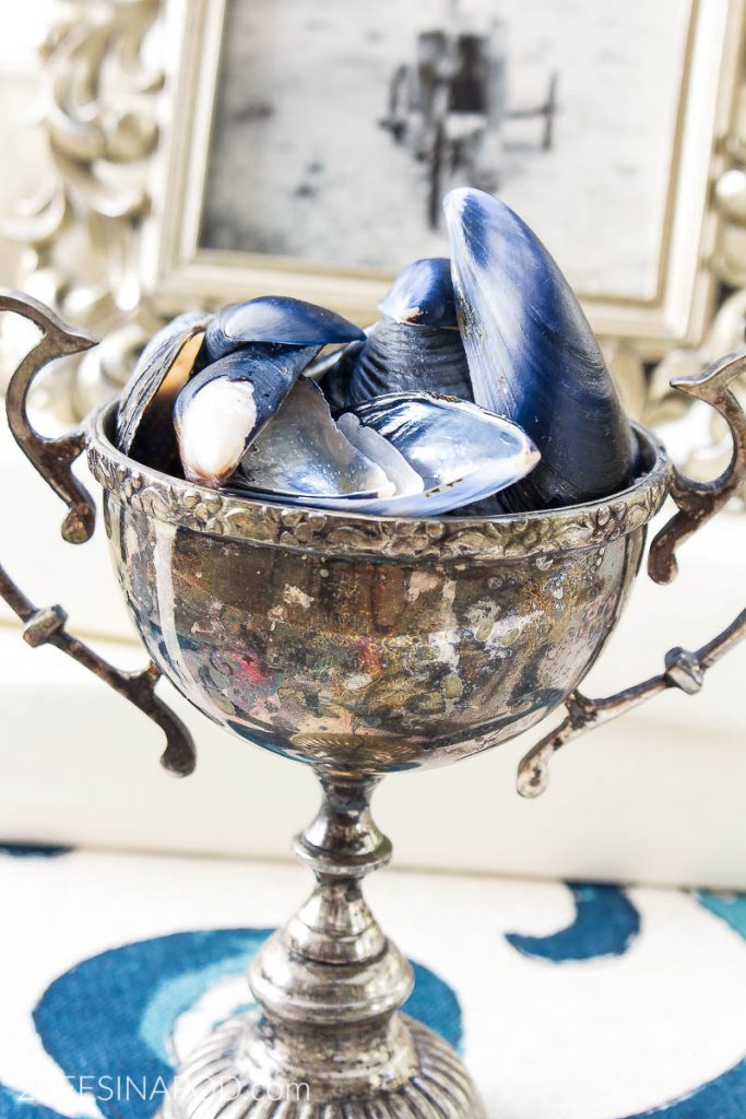 Display beach vacation seashells in a vintage silver sugar bowl