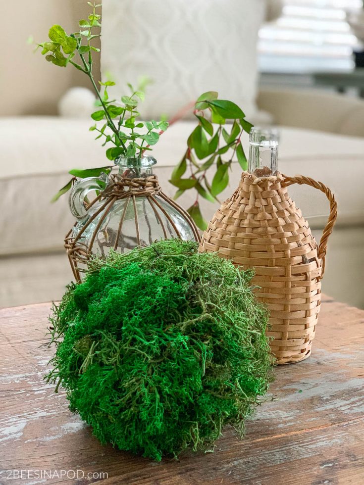 Decorating with Moss Balls 2 Bees in a Pod