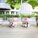 5 simple spring projects