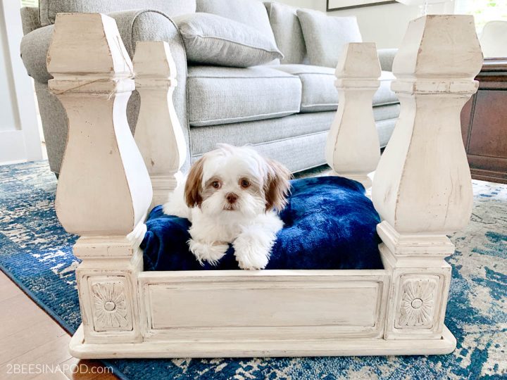 End Table Dog Bed - Easy DIY Upcycle - 2 Bees in a Pod