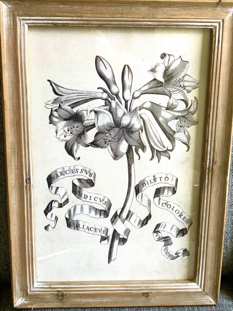 Floral Print