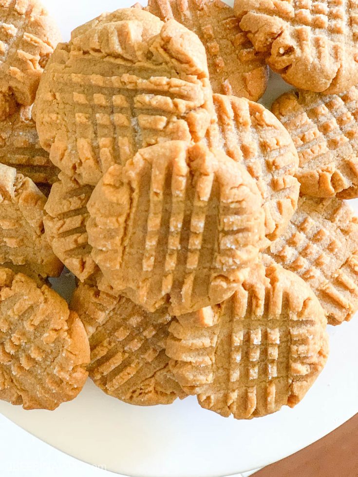 4 Ingredient Peanut Butter Cookie - No Flour - 2 Bees in a Pod