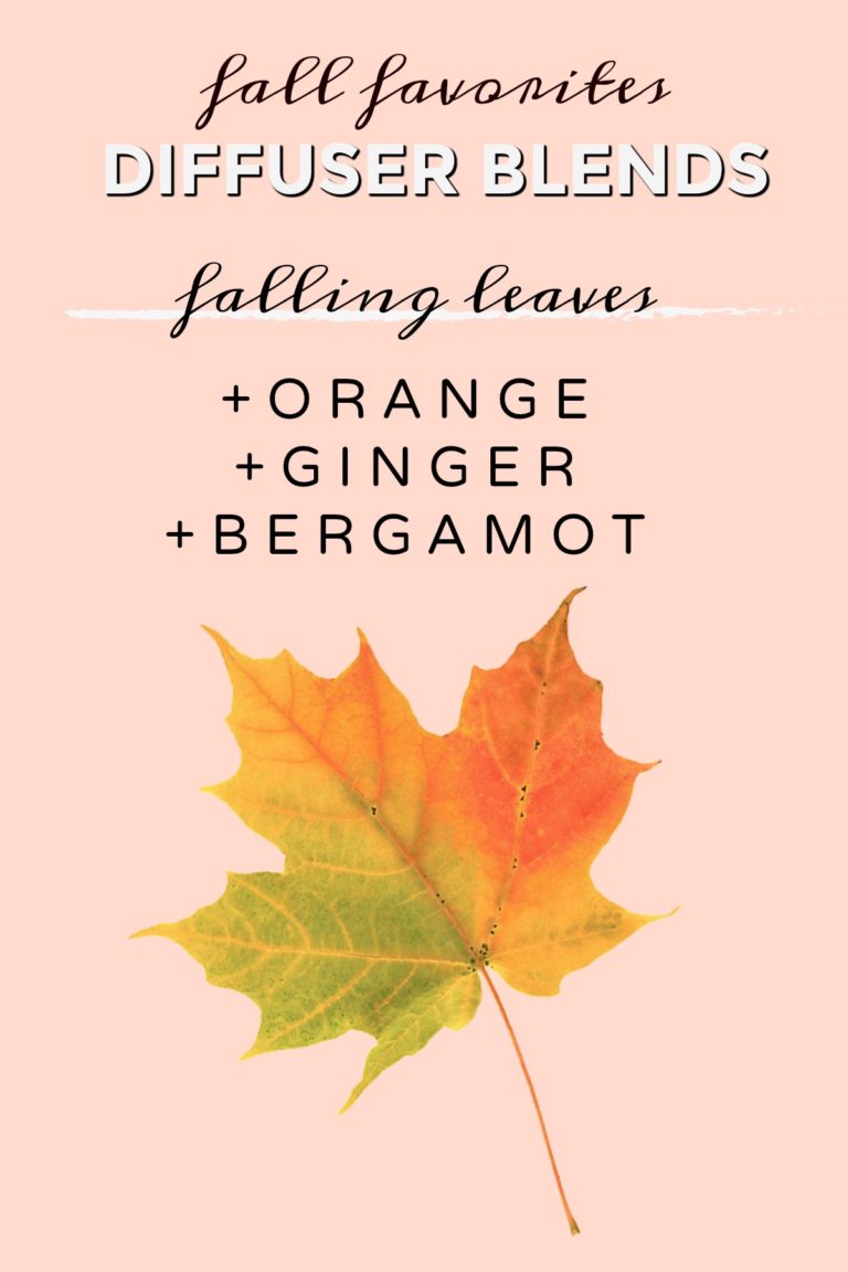 7 Cozy Fall Diffuser Blends Printable - 2 Bees in a Pod