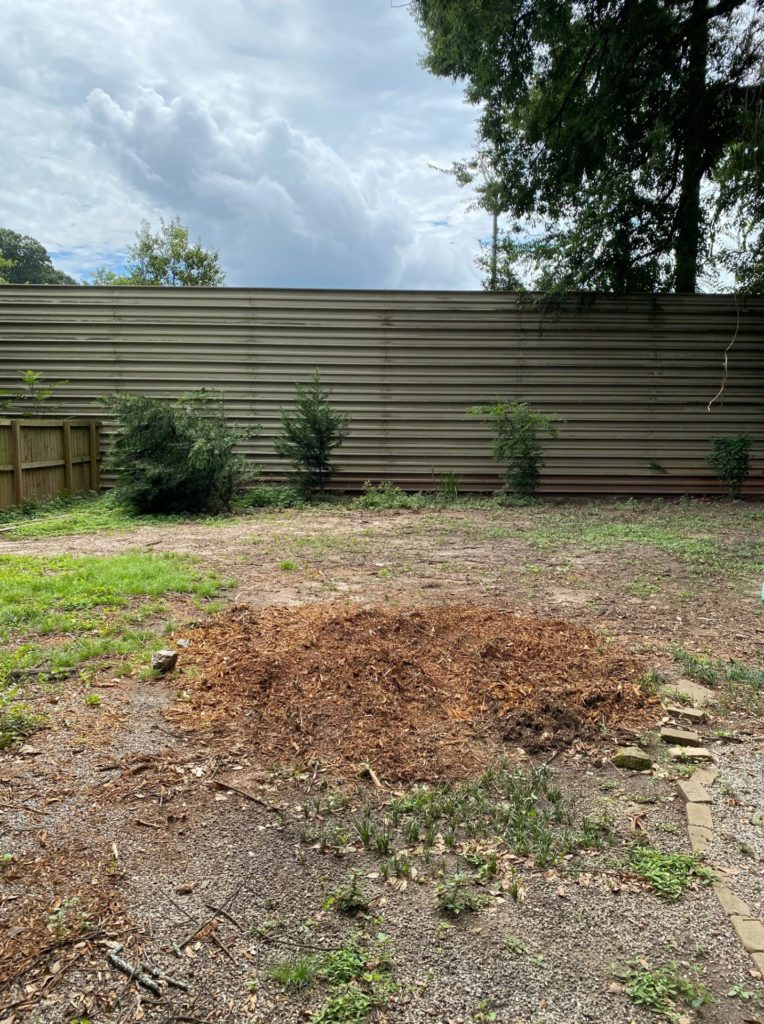 Removal of backyard tree