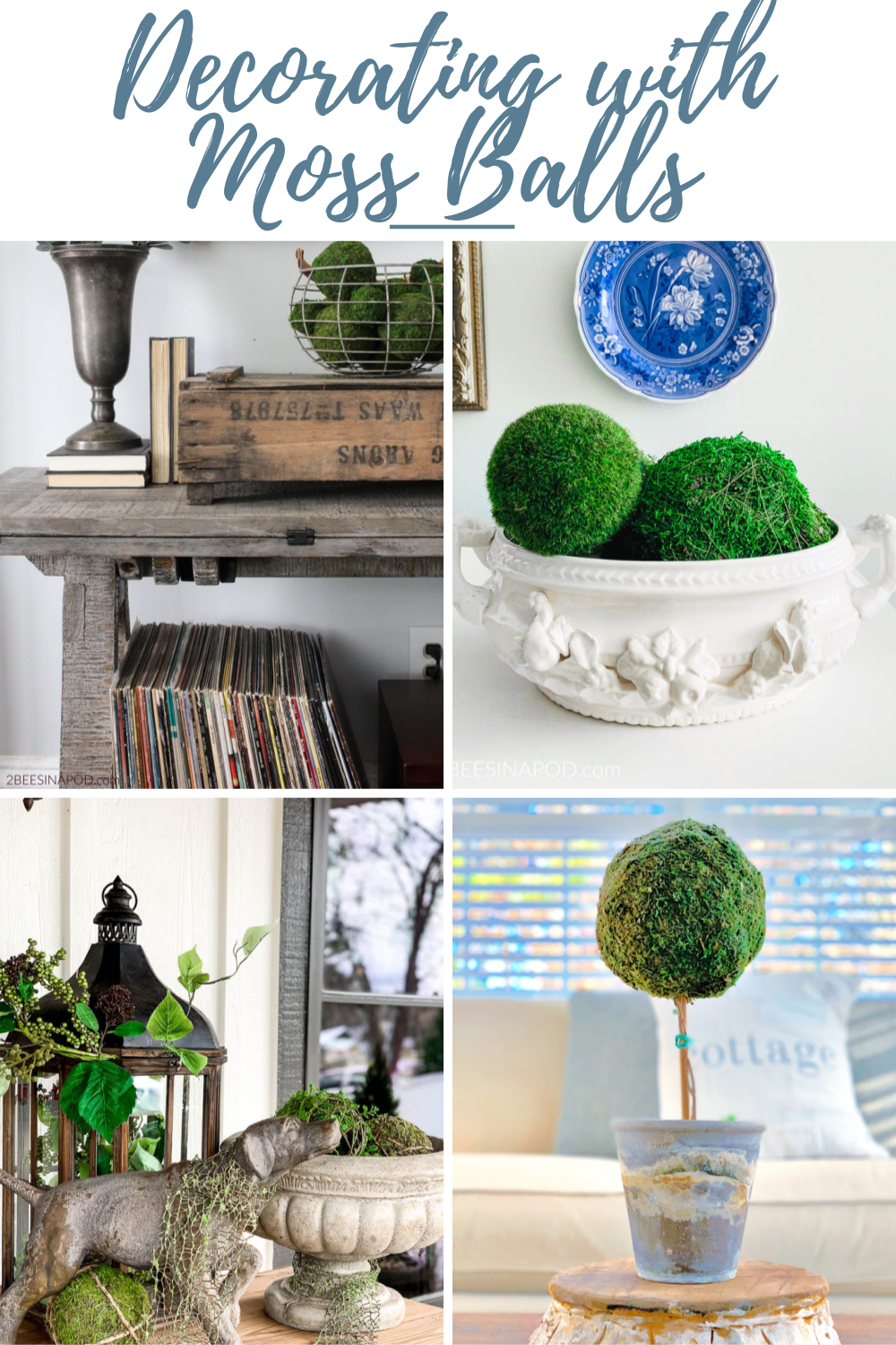 Decorating with Moss Balls 2 Bees in a Pod