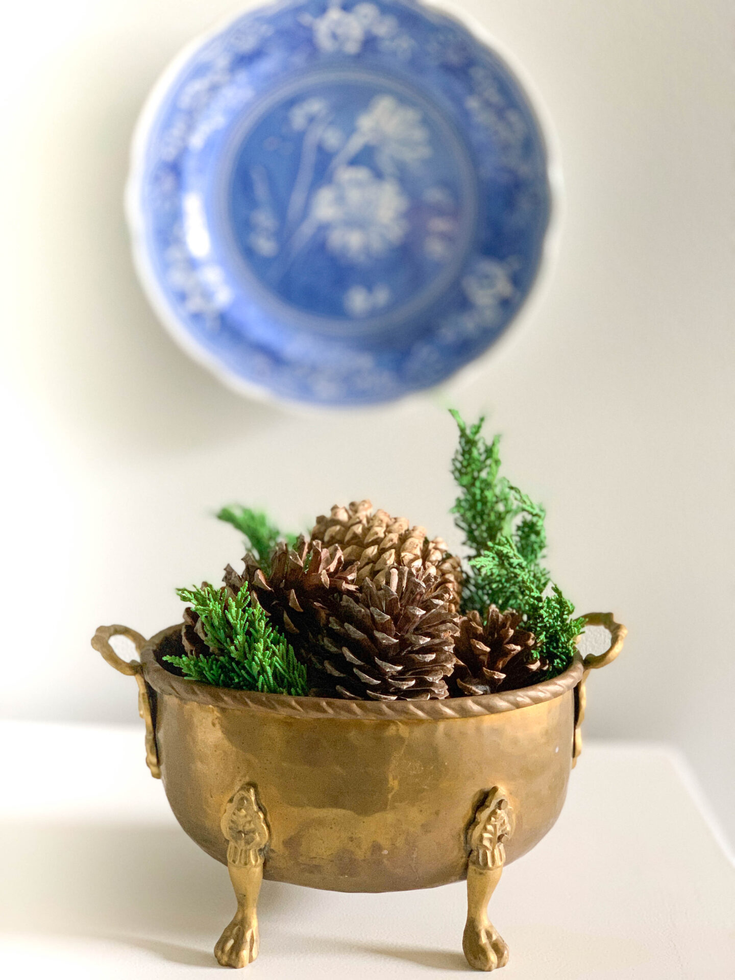 DIY Cinnamon Scented Pine Cones