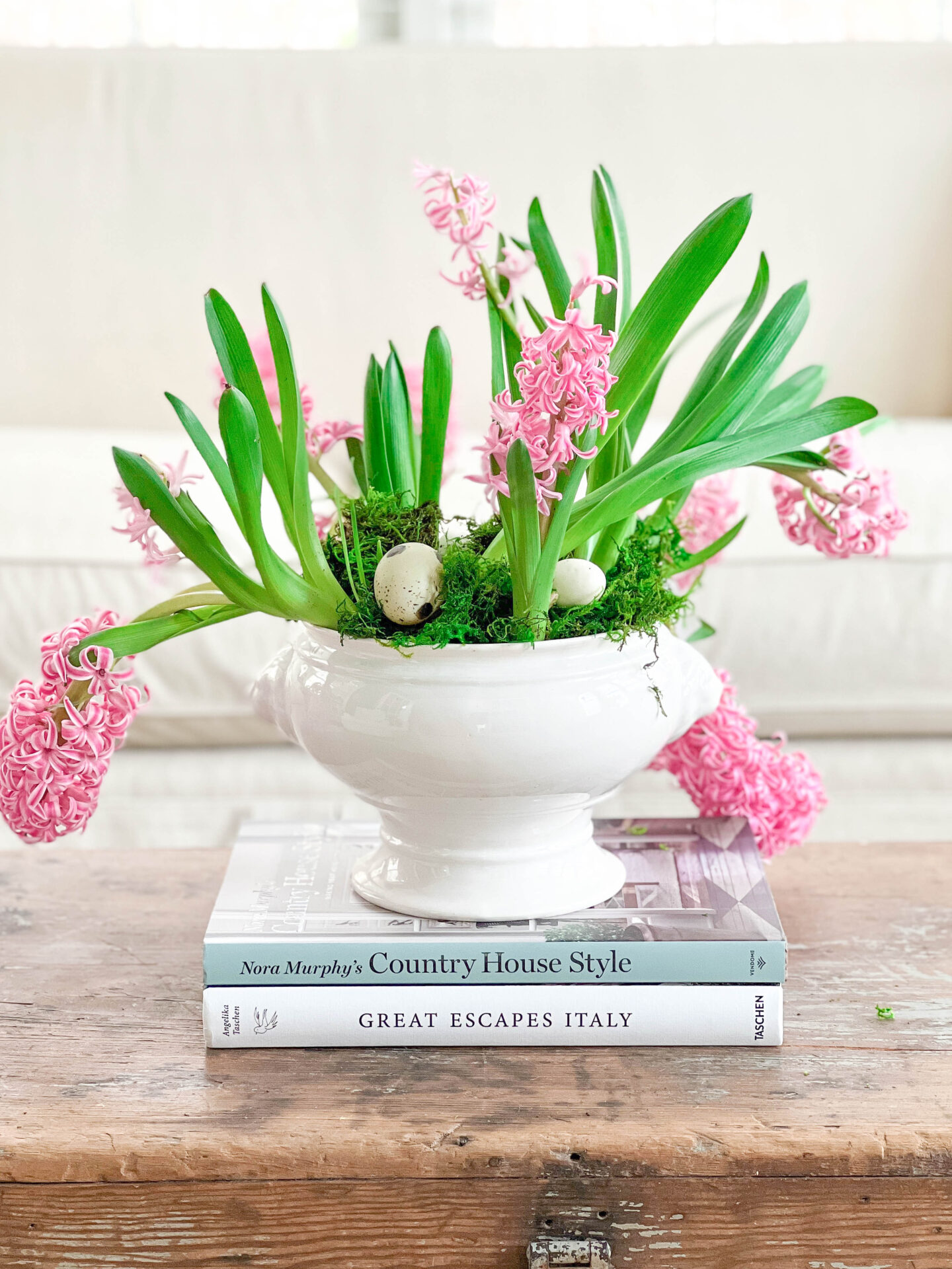 Hyacinth Bulbs in a Vintage Soup Tureen